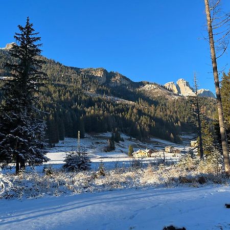 Mes Lastei Daire Campitello di Fassa Dış mekan fotoğraf
