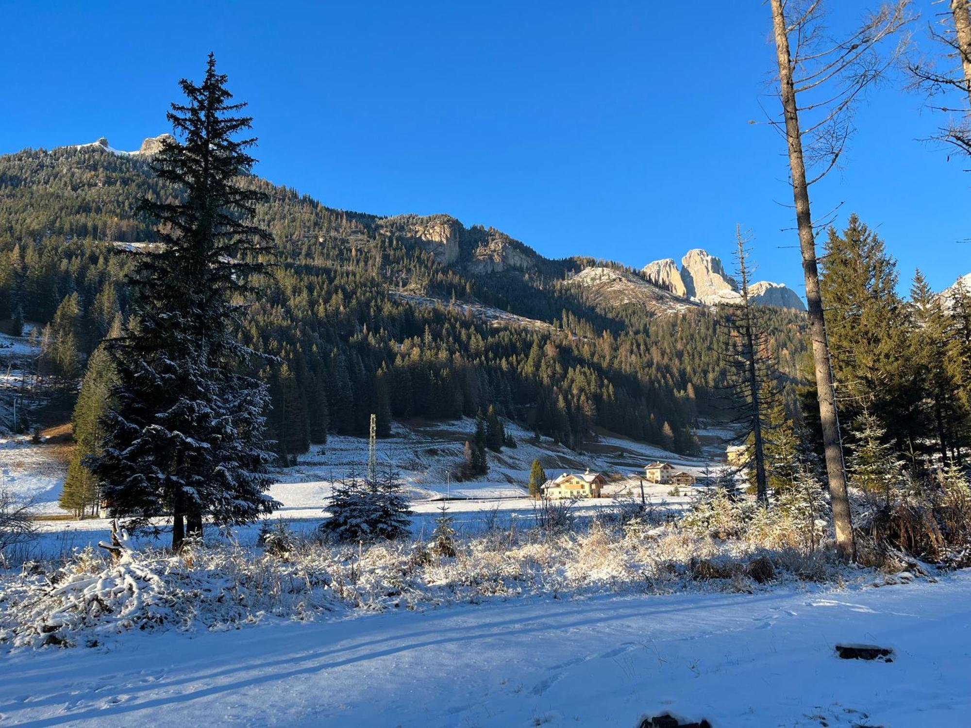 Mes Lastei Daire Campitello di Fassa Dış mekan fotoğraf