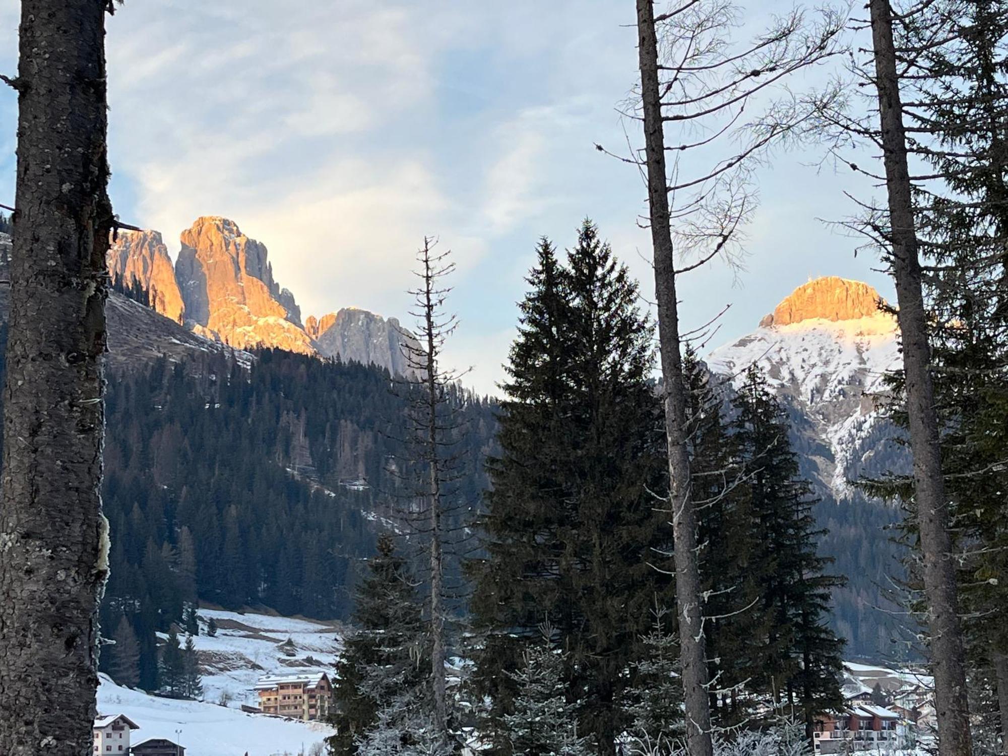 Mes Lastei Daire Campitello di Fassa Dış mekan fotoğraf