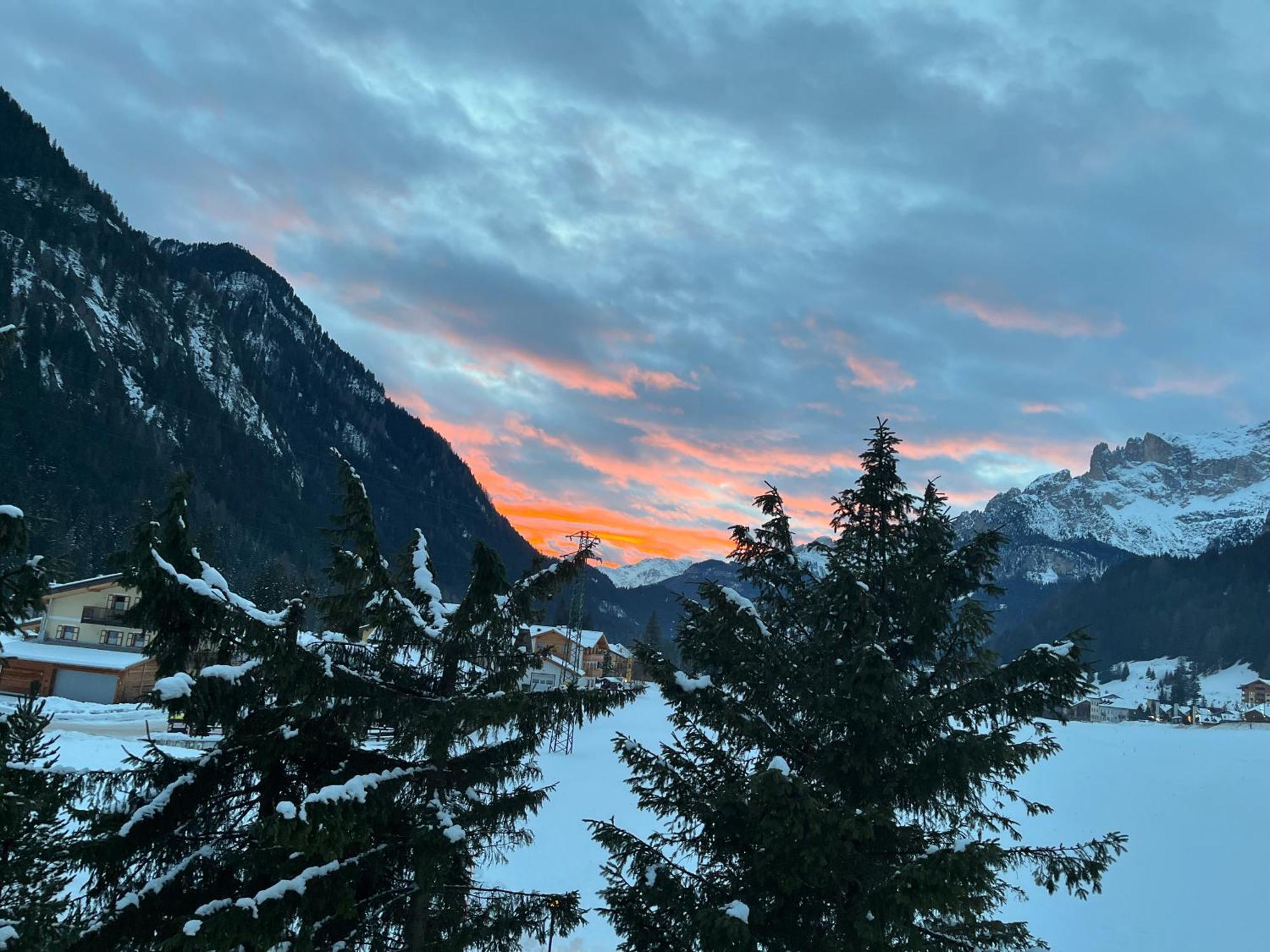 Mes Lastei Daire Campitello di Fassa Dış mekan fotoğraf