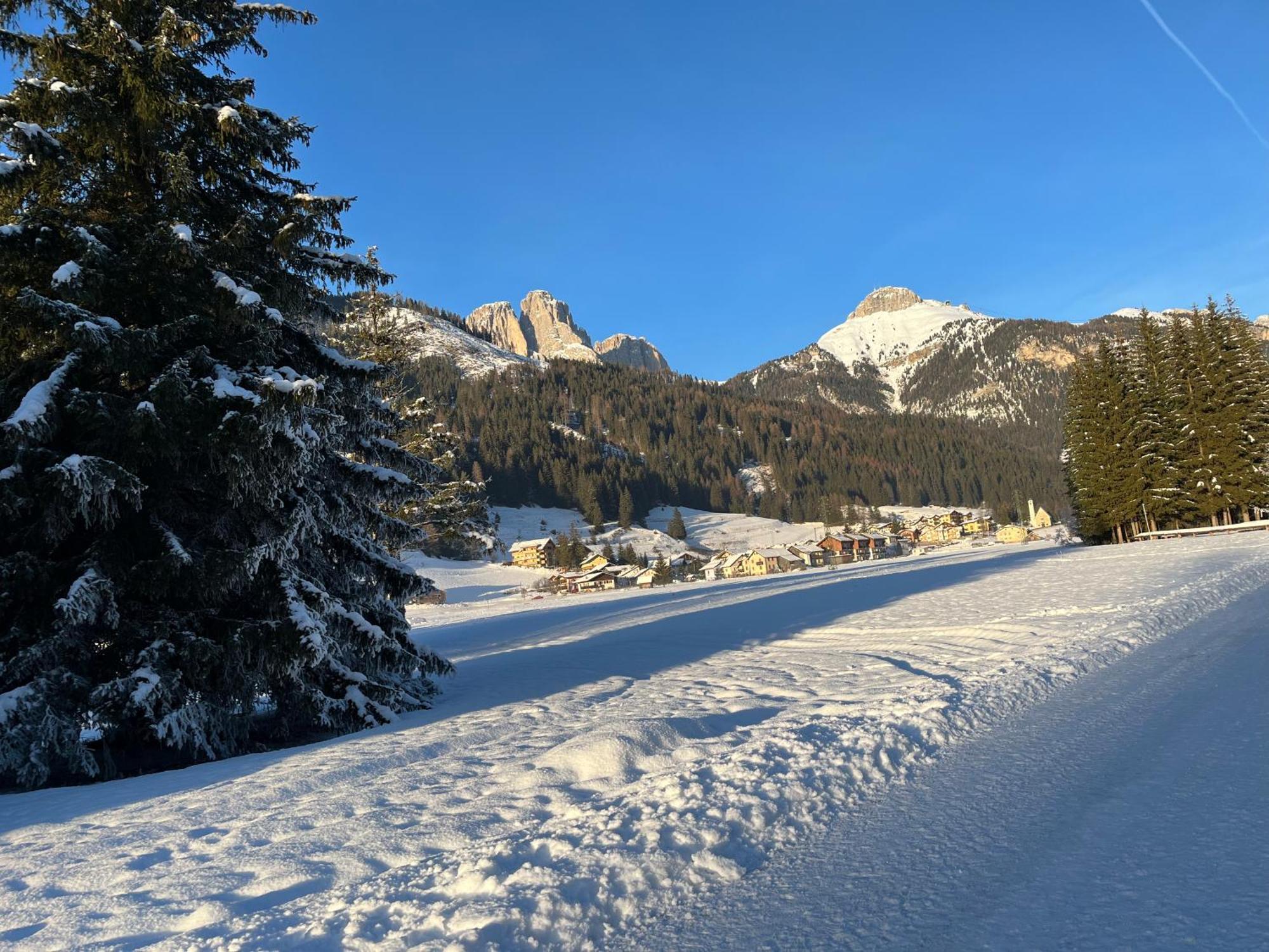 Mes Lastei Daire Campitello di Fassa Dış mekan fotoğraf