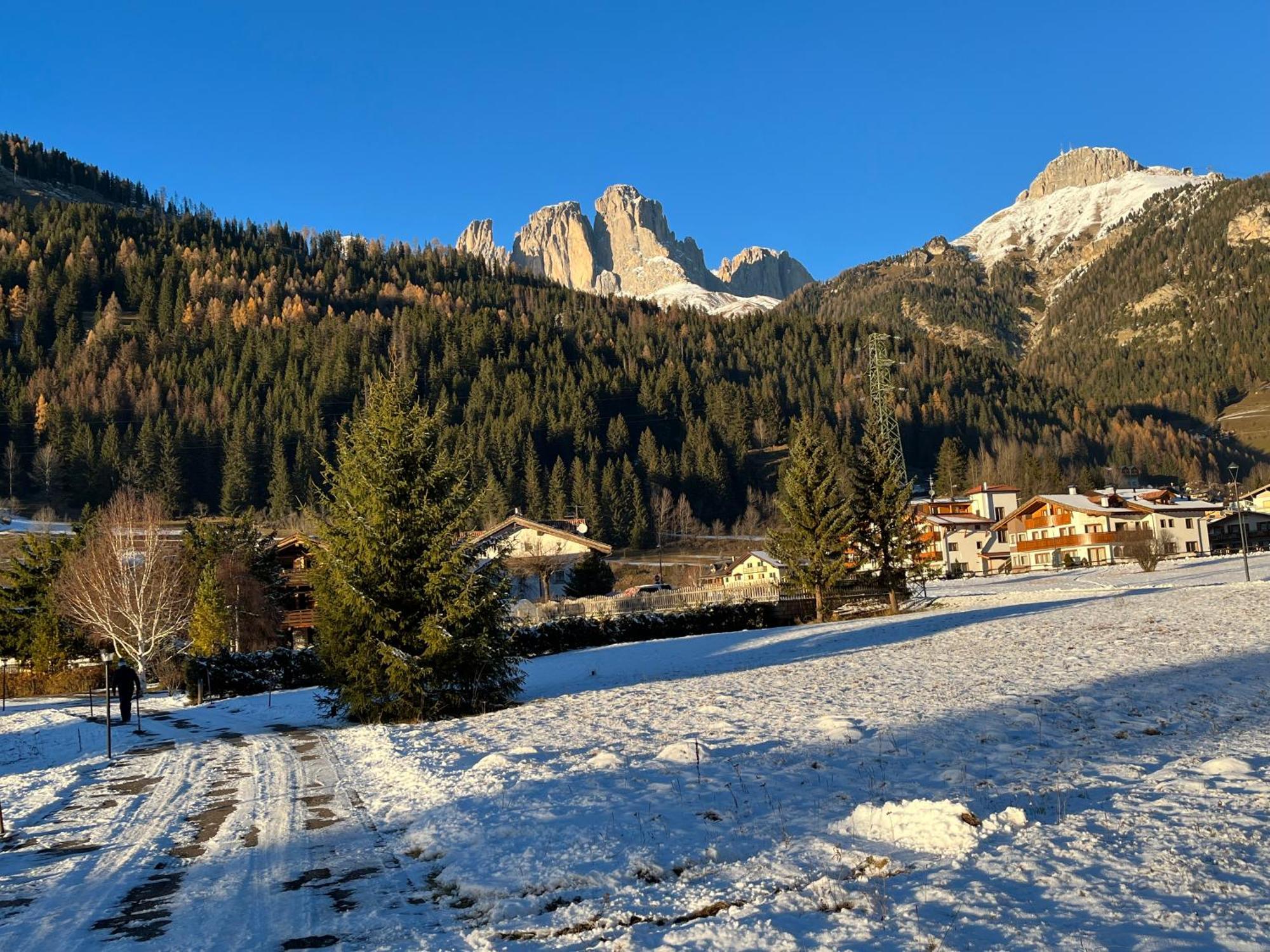 Mes Lastei Daire Campitello di Fassa Dış mekan fotoğraf