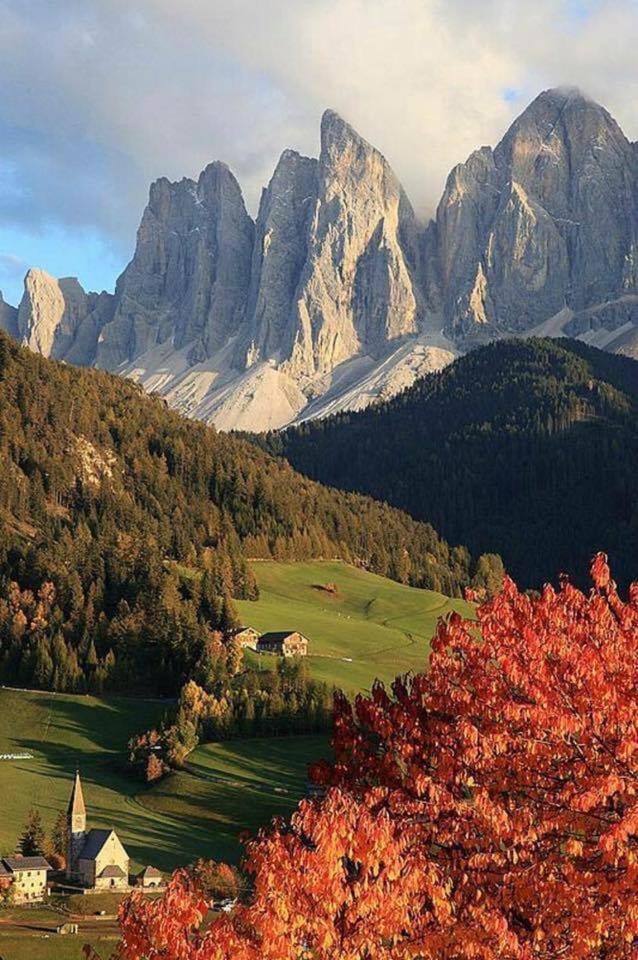 Mes Lastei Daire Campitello di Fassa Dış mekan fotoğraf