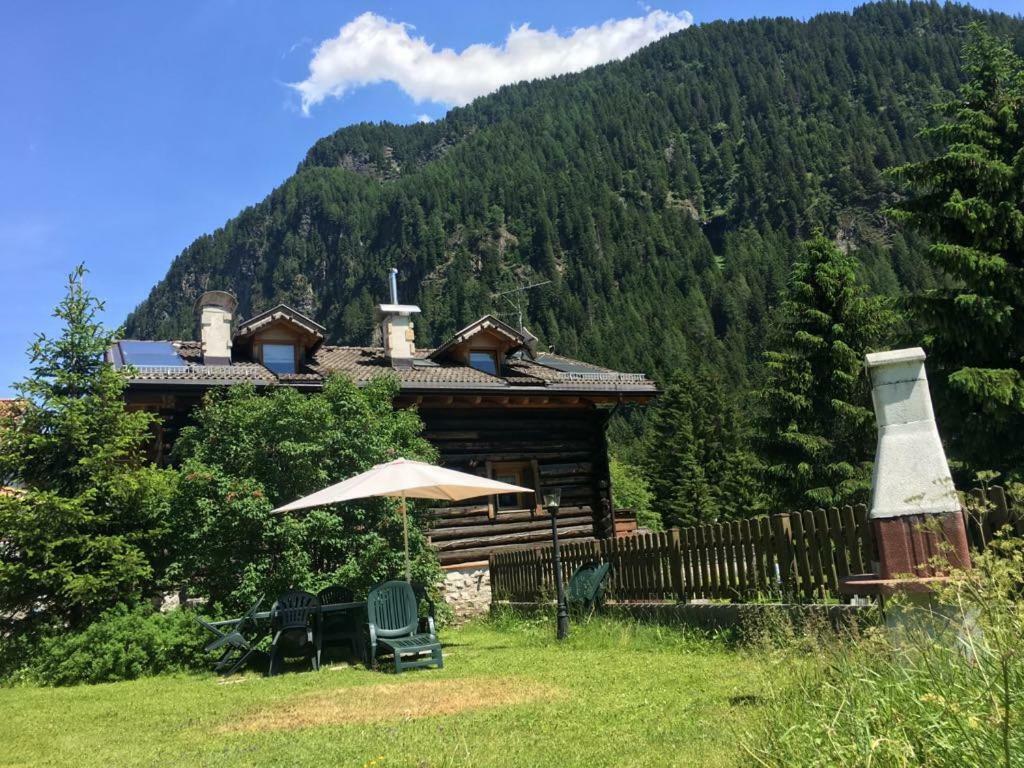 Mes Lastei Daire Campitello di Fassa Dış mekan fotoğraf