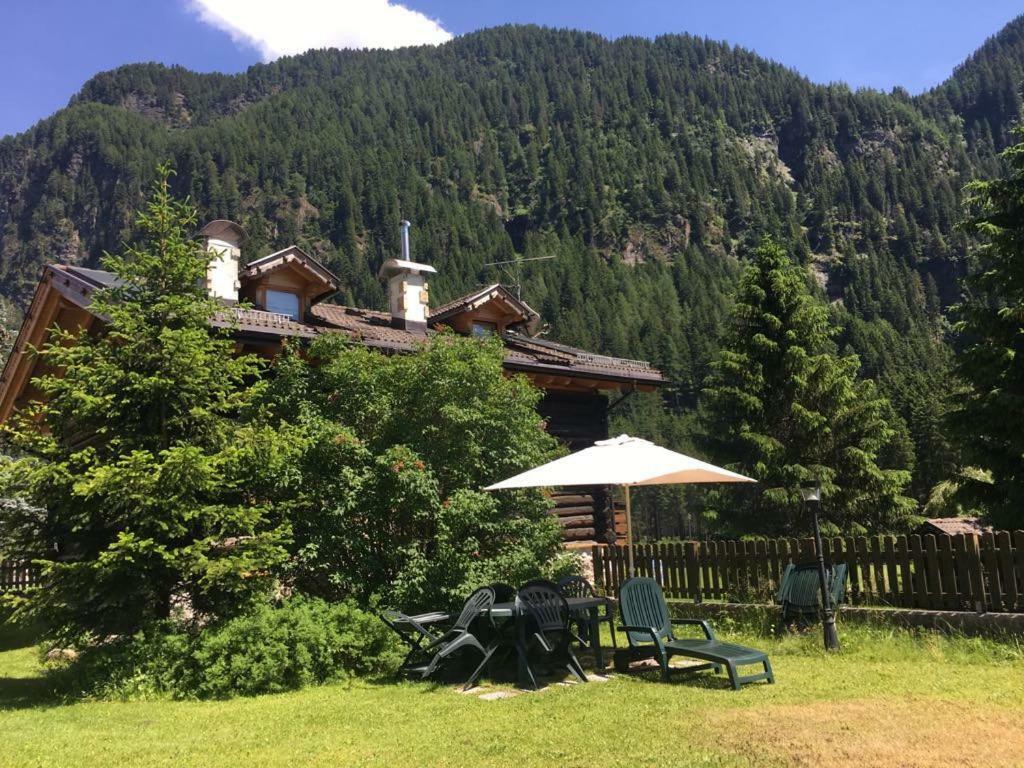 Mes Lastei Daire Campitello di Fassa Dış mekan fotoğraf